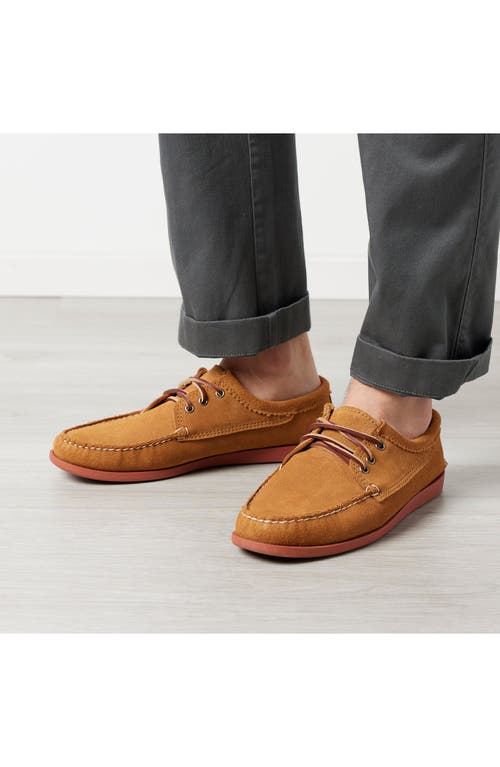 Quoddy Blucher Shoe In Brown
