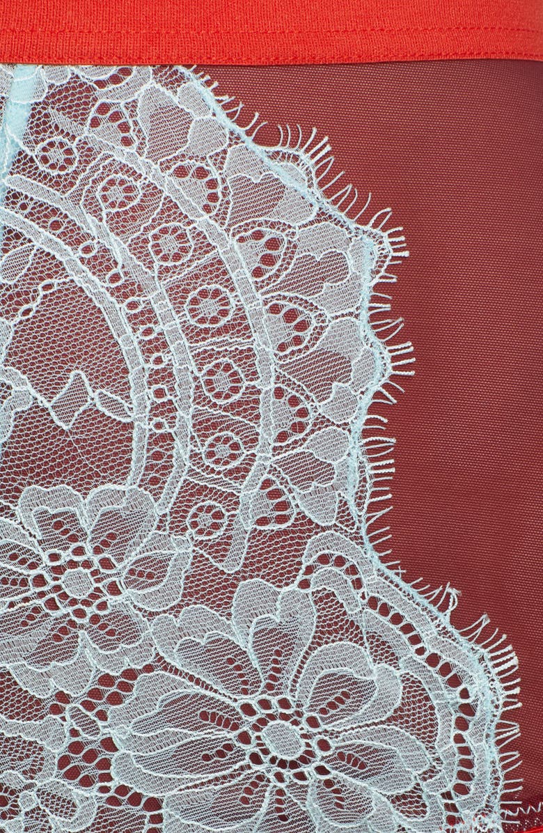 Dora Larsen Fern High Waist Panties, Alternate, color,