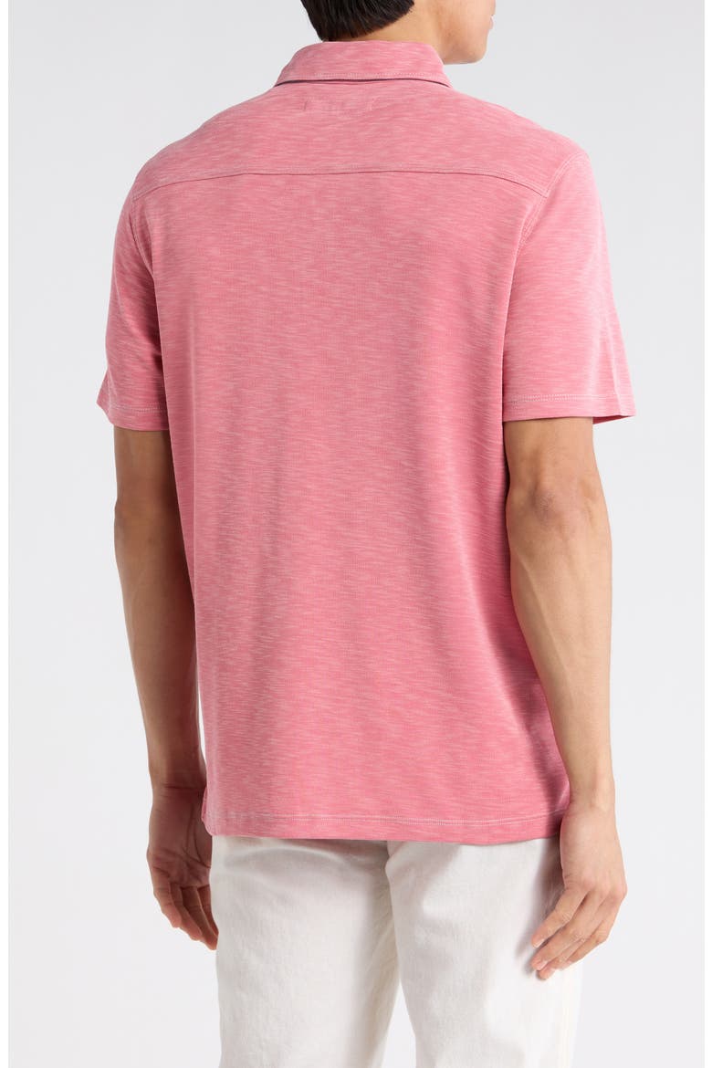 Paradiso Polo, Alternate, color, CLARETE