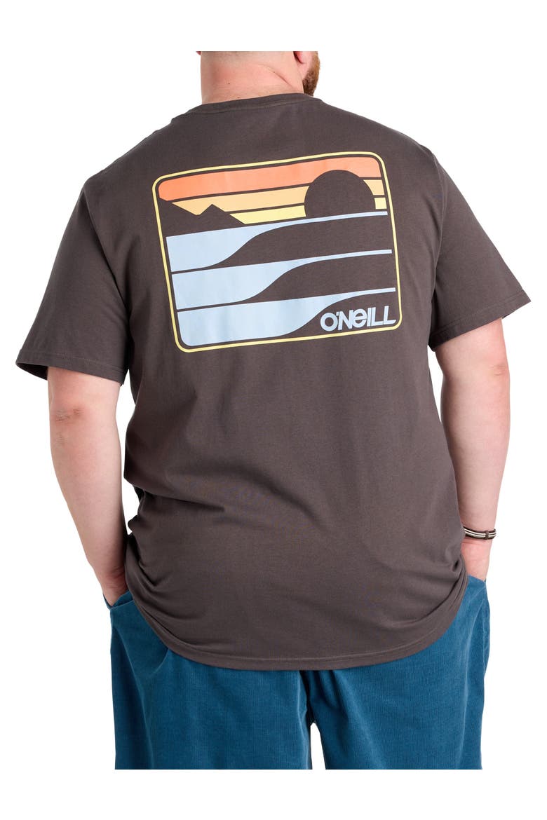 Big & Tall Dawn Classic Graphic Tee, Alternate, color, GRAPHITE