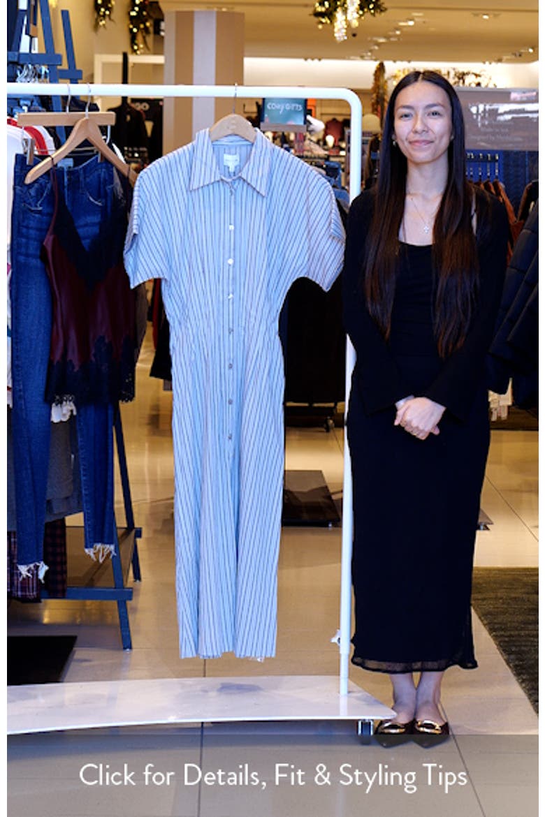 Audrey Stripe Cotton Blend Shirtdress video