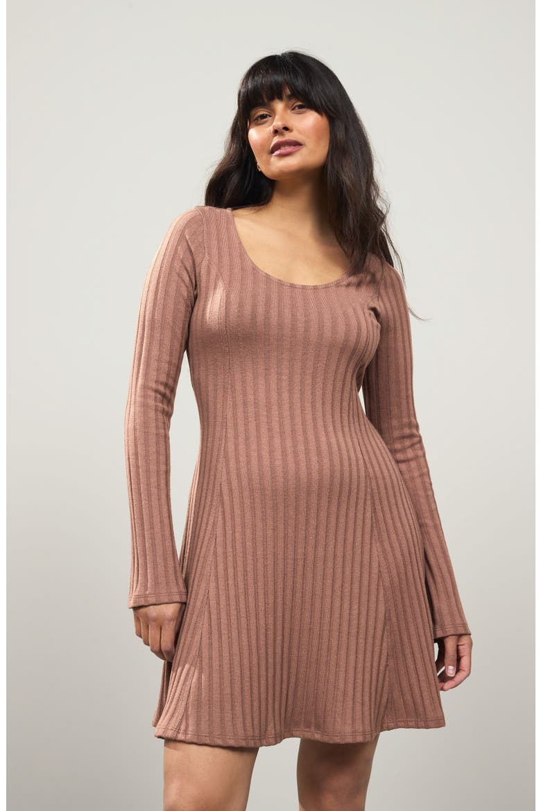 Ribbed Long Sleeve Minidress, Alternate, color, LIGHT BROWN