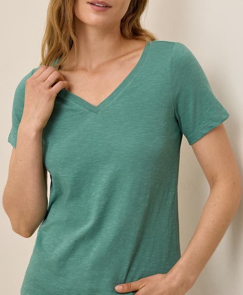 Pact Organic Cotton Featherweight Slub V-neck Tee