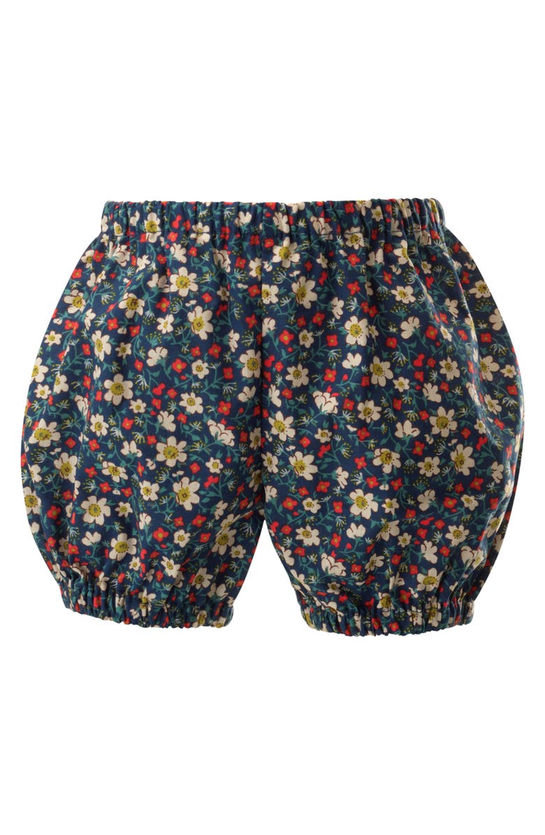 Rachel Riley Poppy Button-Front Dress & Bloomers, Alternate, color, 