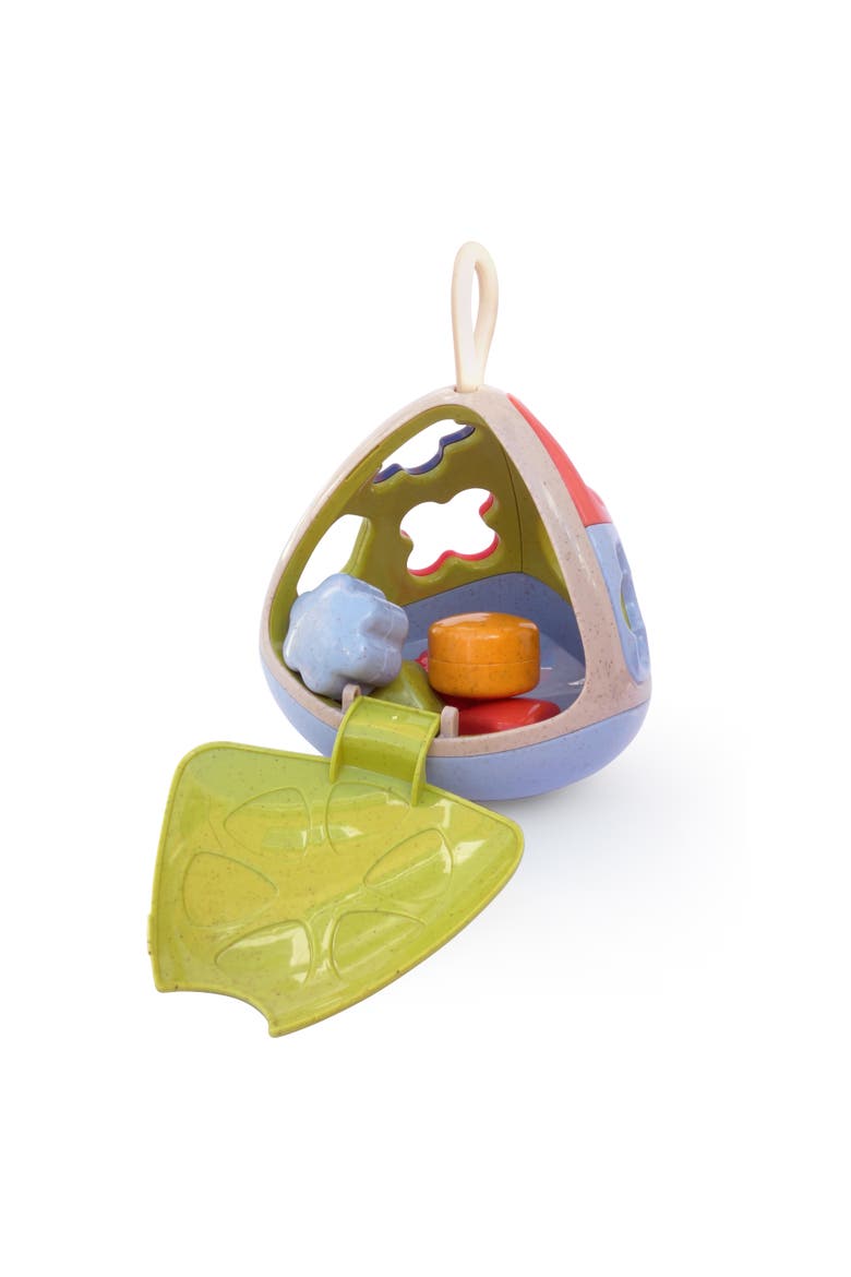 Bio Shape Sorter, Alternate, color, Multi