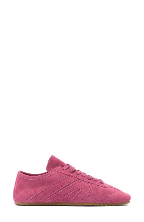 Jeffrey Campbell Aleta Sneaker In Fuchsia Suede