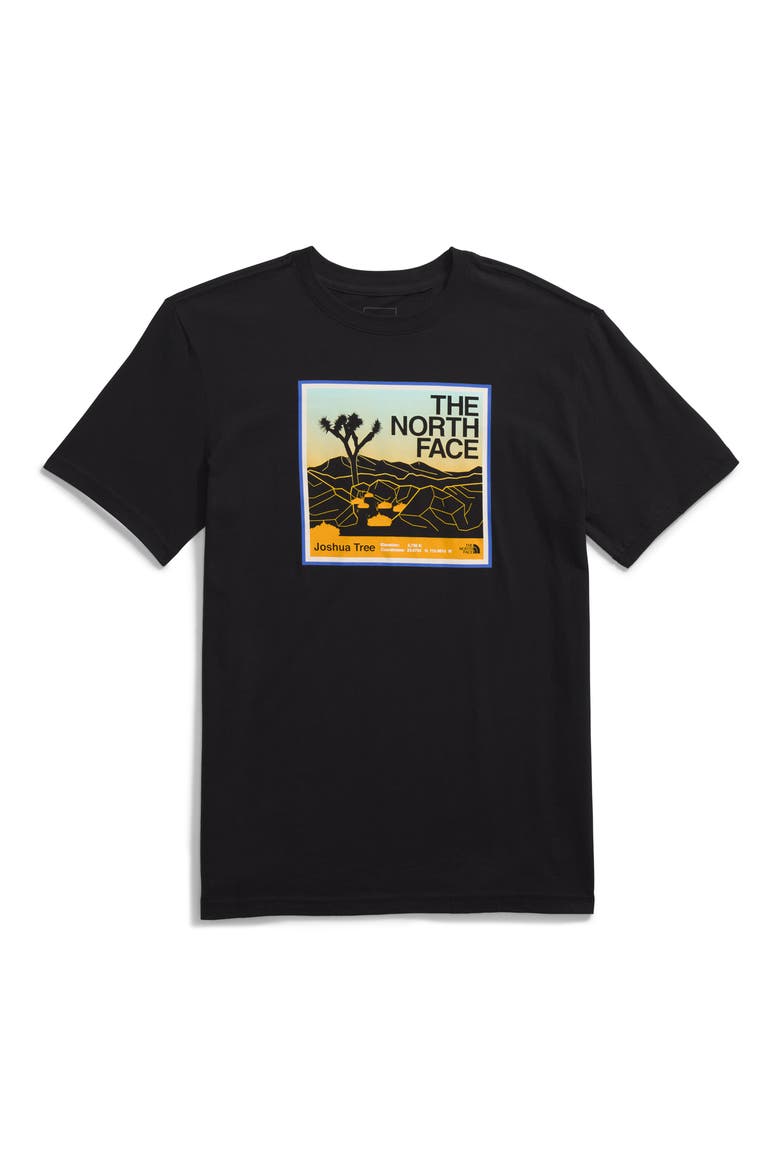 Kids' Adventure Cotton Graphic T-Shirt, Main, color, THE NORTH FACE BLACK