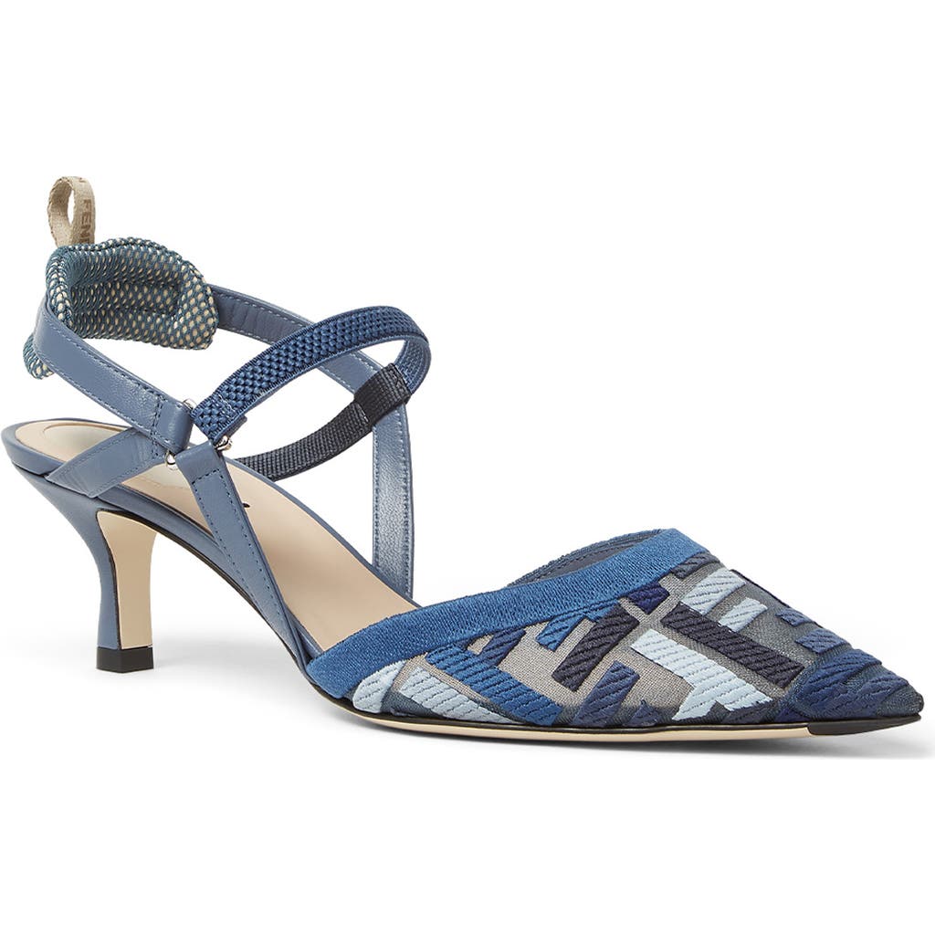 Fendi Pointed Toe Pumps In Blue