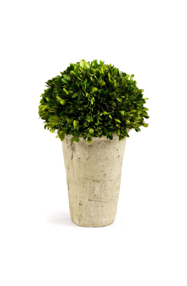 Napa Home & Garden Boxwood Three-Quarter Faux (Fake) Ball In Pot, Main, color, 
