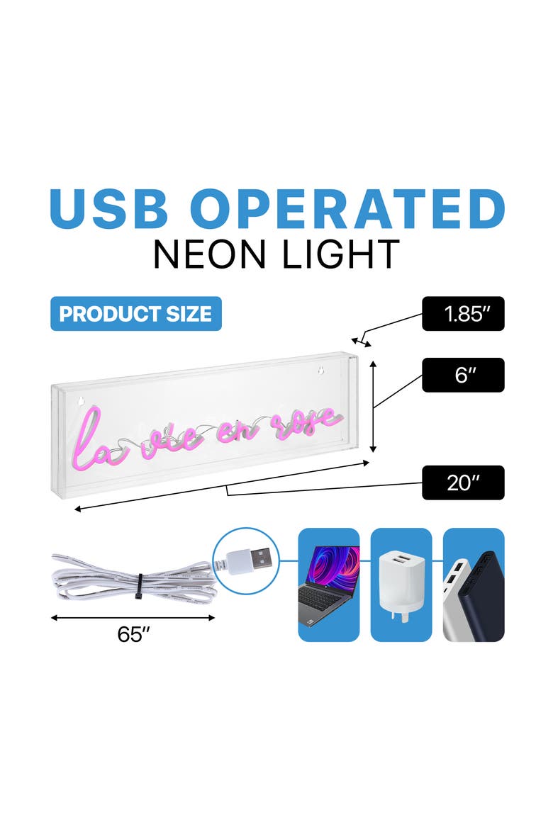 La Vie En Rose Contemporary Glam Acrylic Box USB Operated LED Neon Light, Alternate, color, Pink