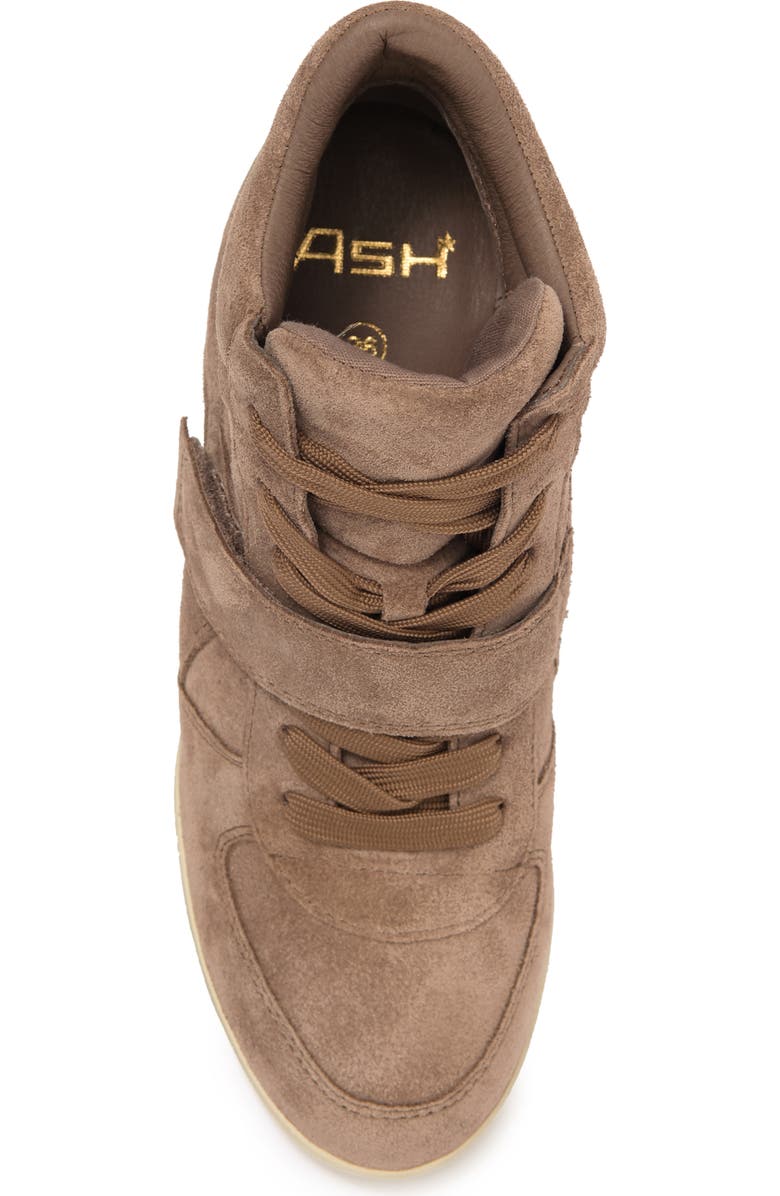 Ash , Alternate, color,