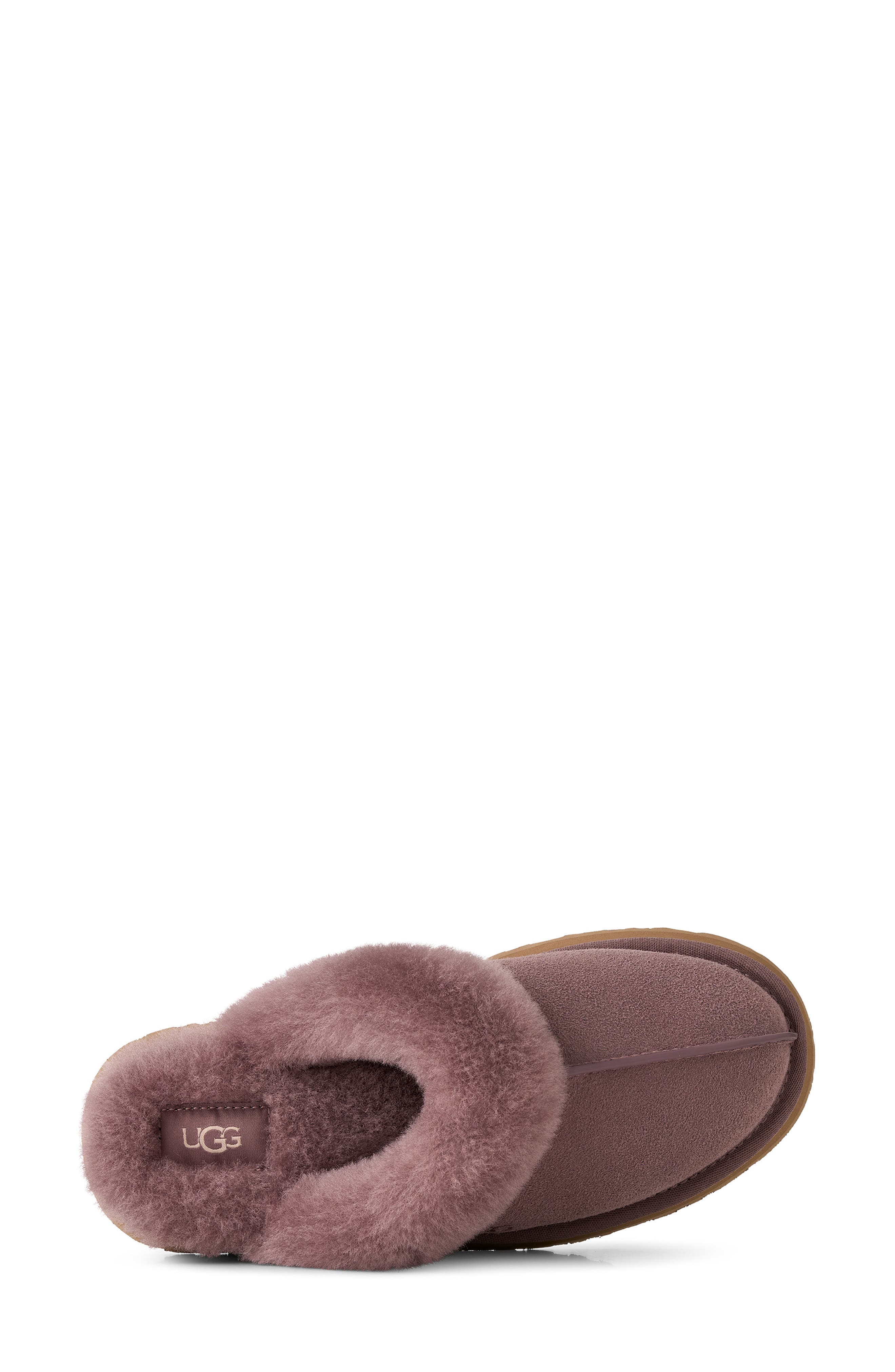 Disquette Slipper, Alternate, color, PORTOBELLO