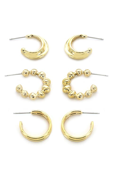 Set of 3 Assorted Hoop Earrings
