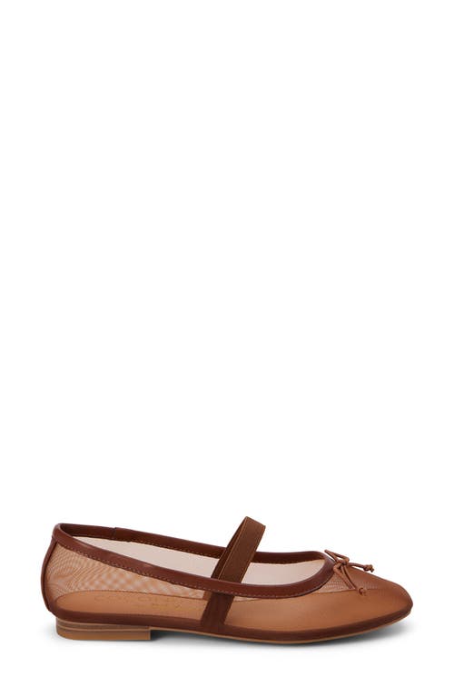 Coconuts By Matisse Bronx Mesh Ballerina Flat In Brown Mesh