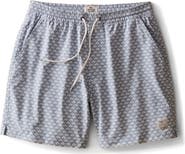 Marine Layer 6-Inch Lined Sport & Swim Shorts