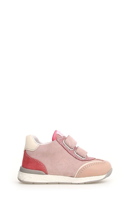 Naturino Kids' Falcotto New Ferdi Sneaker In Pink