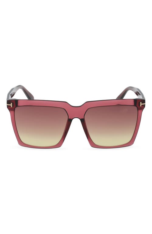 Tom Ford Sabrina 58mm Gradient Square Sunglasses
