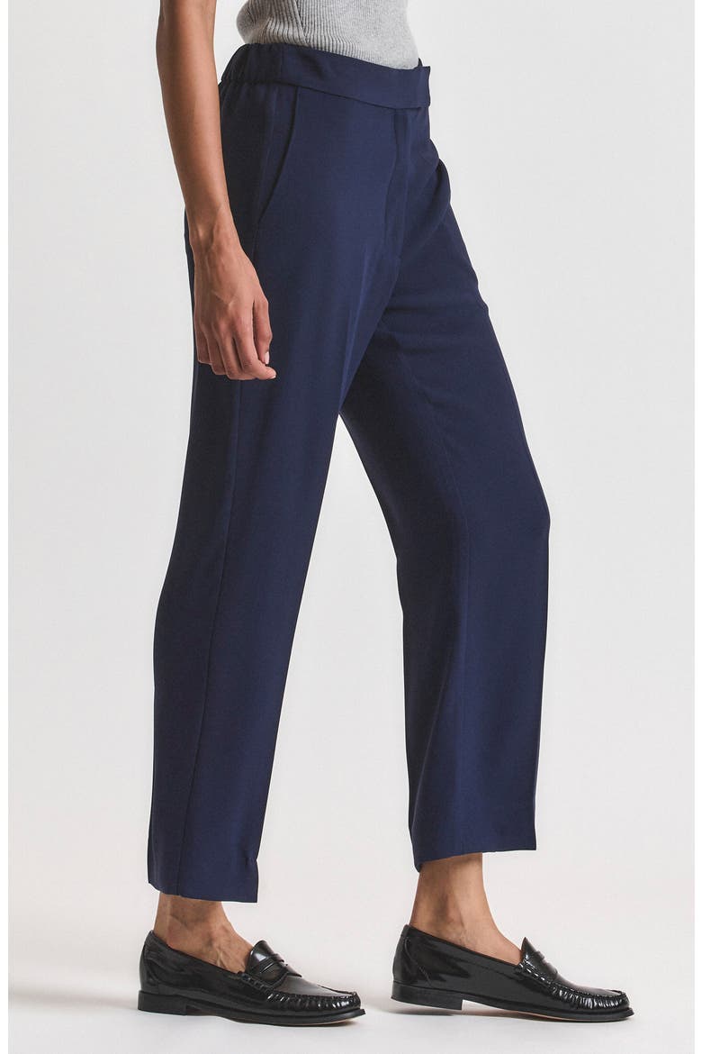 Reagan Ankle Pants, Alternate, color, NAVY