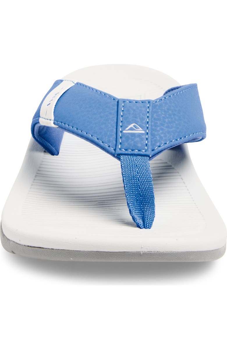 Reef Kids' Santa Ana Flip Flop, Alternate, color, Light Blue/ Light Grey