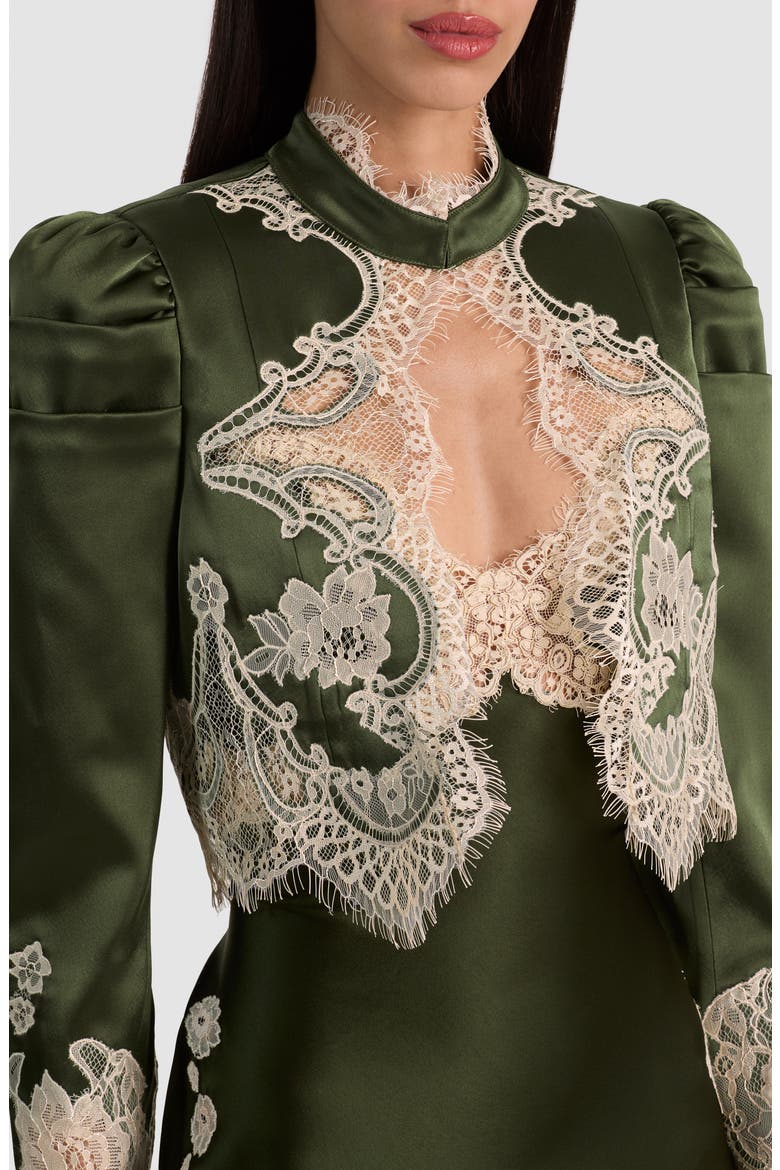 Thomsna Puff Sleeve Lace Trim Cropped Jacket, Alternate, color, DARK FERN