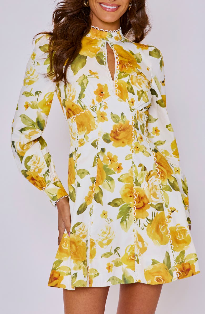 VICI Collection Vivienne Floral Long Sleeve Stretch Cotton Minidress, Alternate, color, 