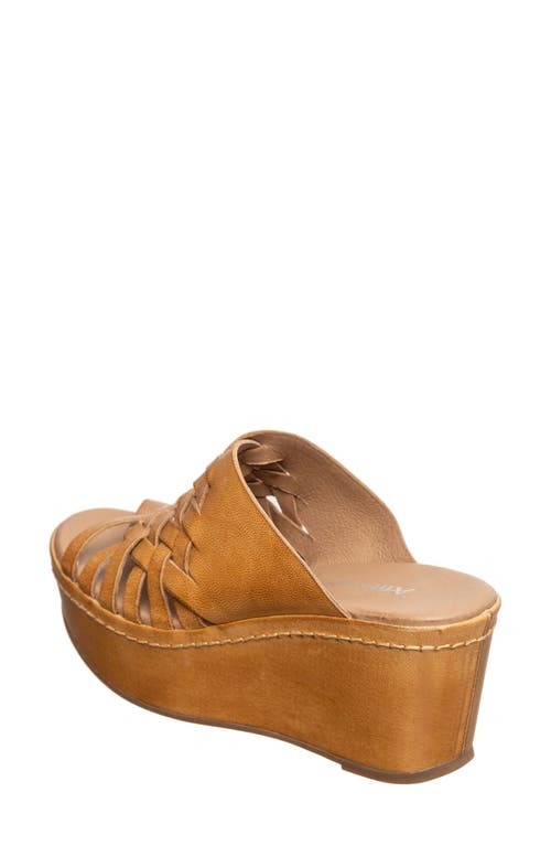Antelope Kalida Wedge Sandal In Taupe