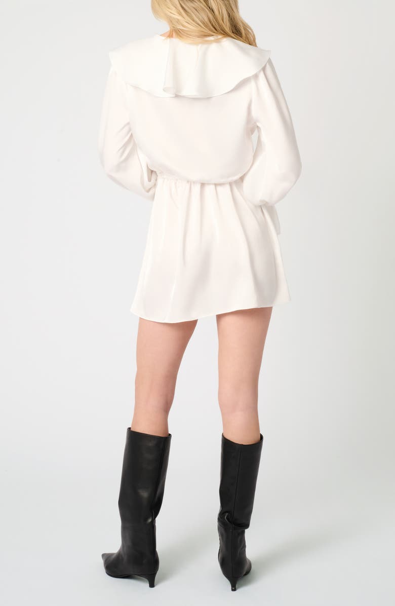Long Sleeve Ruffle Minidress
