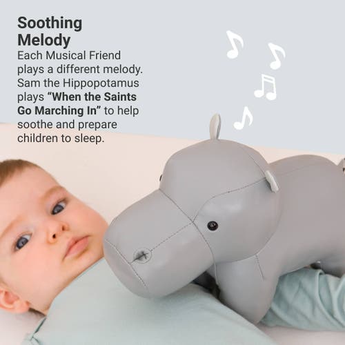 Little Big Friends Musical Animals In Gray