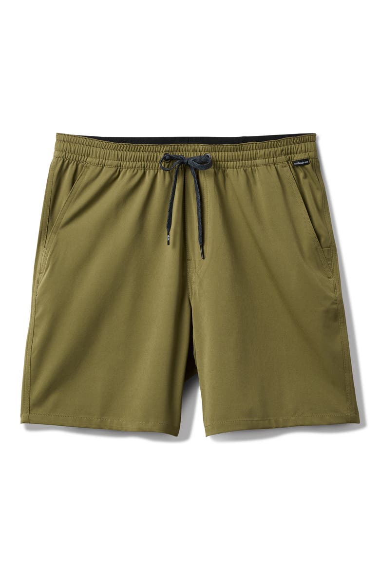 Taxer Amphibian Shorts, Main, color, ALOE