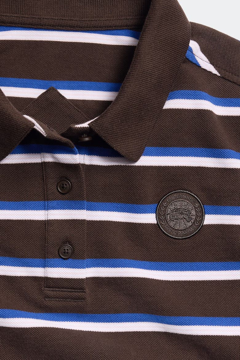Almira Striped Polo Tonal Disc, Alternate, color, Terra Moncton Stripe