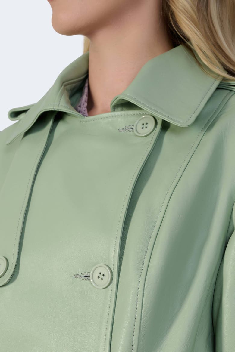 Soho Leather Jacket, Alternate, color, Light Green