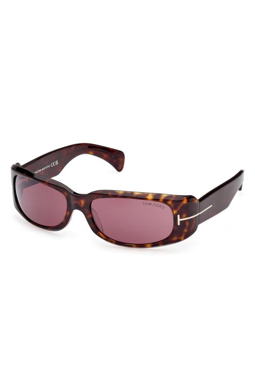 Tom Ford Corey 59mm Square Sunglasses In Brown
