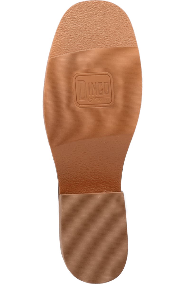 Dingo Dutton Tall Boot, Alternate, color, Black