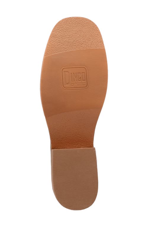 Dingo Dutton Tall Boot In Black