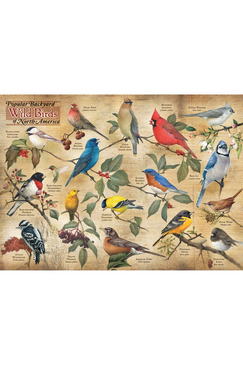 Popular Backyard Wild Birds of North America 1000 Piece Puzzle, Alternate, color, Multicolored