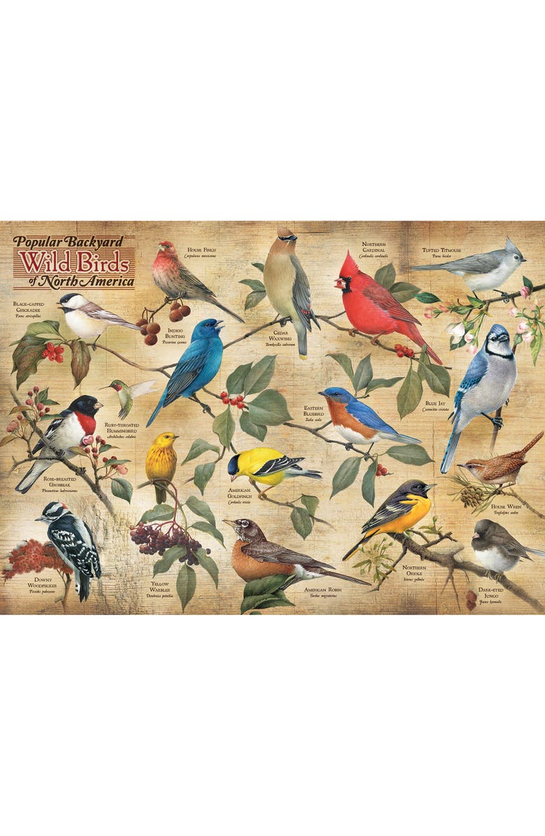 Cobble Hill Popular Backyard Wild Birds of North America 1000 Piece Puzzle, Alternate, color, Multicolored