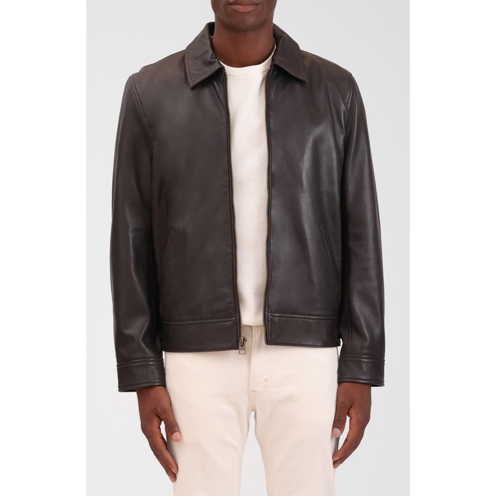 Bagatelle Leather Jacket In Brown