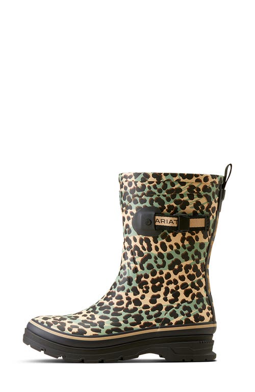 Ariat Kelmarsh Mid Waterproof Boot In Brown