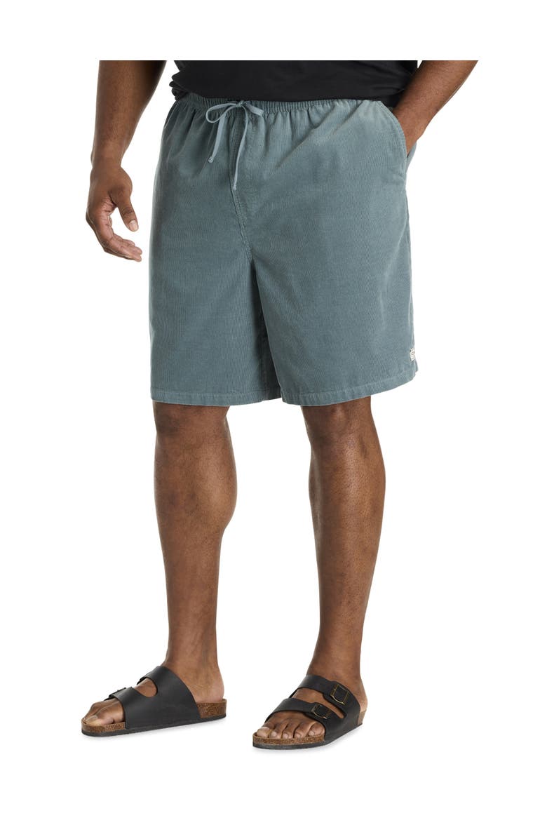 O'Neill Big & Tall Cord Shorts, Main, color, Stormy Sea