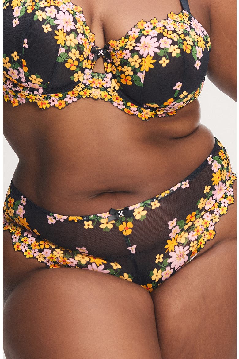 Wonderfleur Cheeky Briefs, Alternate, color, BLACK CAVIAR