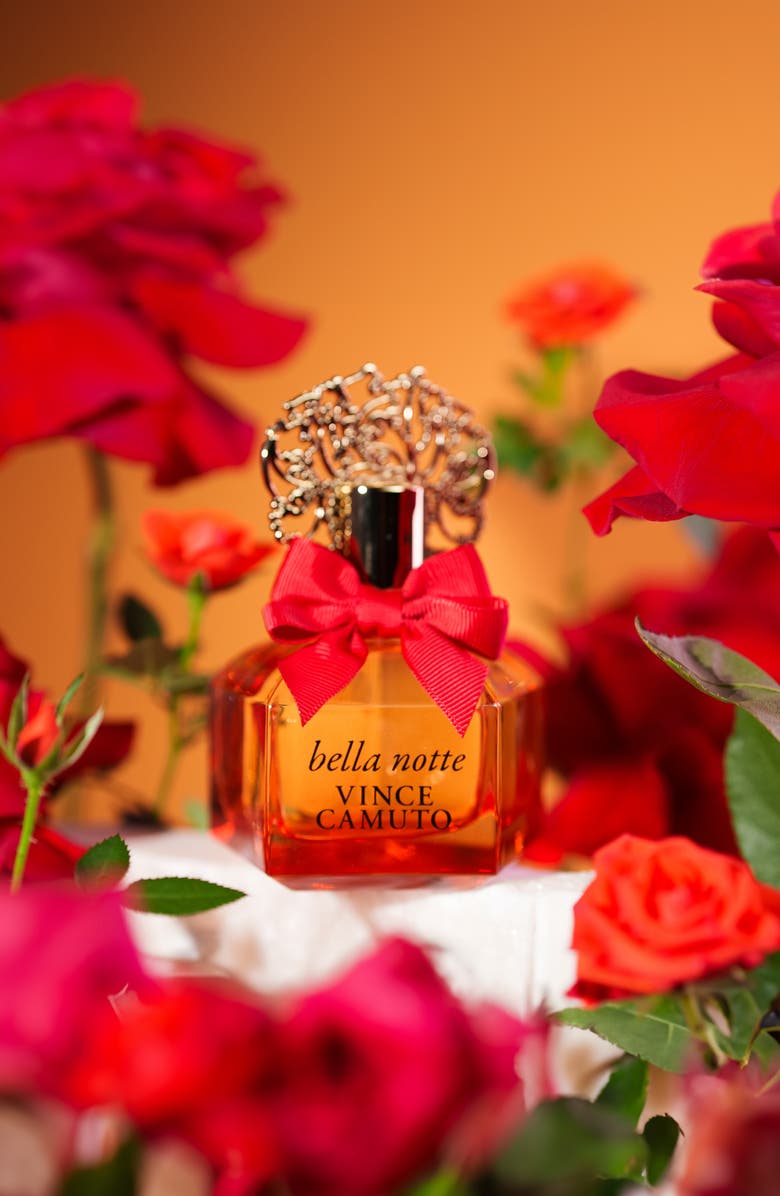 Vince Camuto Bella Notte Eau de Parfum, Alternate, color, 
