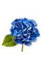 selected Blue