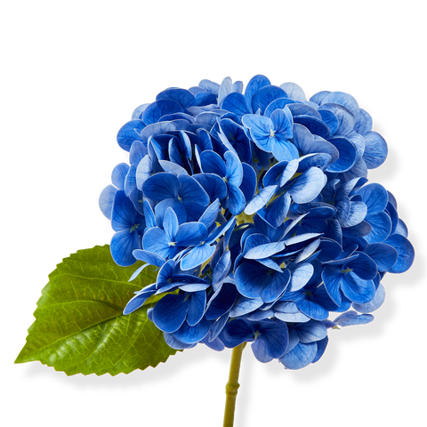 Soft Touch Faux Hydrangea Stem Blue Blue Plastic Spring