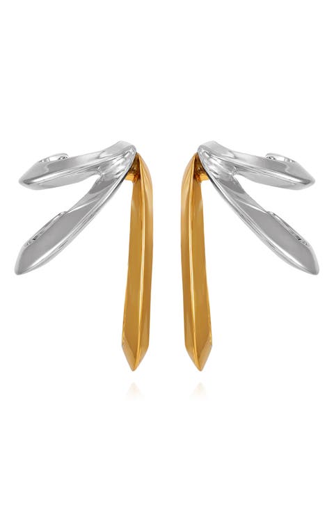 Two-Tone Hoop Earrings