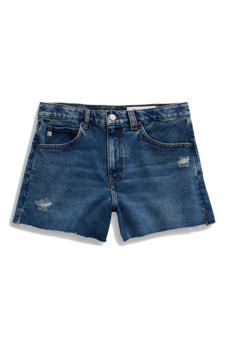 Halle High Waist Cutoff Denim Shorts, Alternate, color, 11 YEARS ENRICH