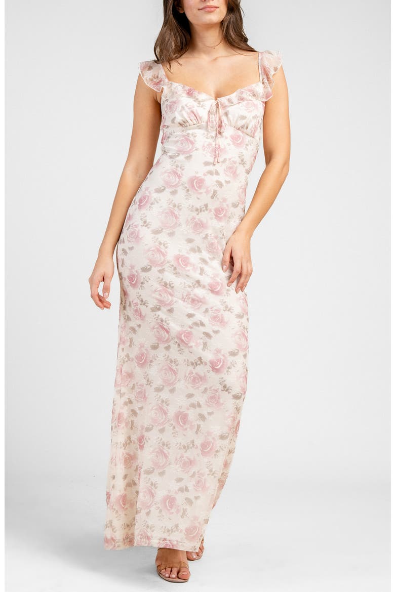 Printed Mesh Maxi Dress, Alternate, color, PINK