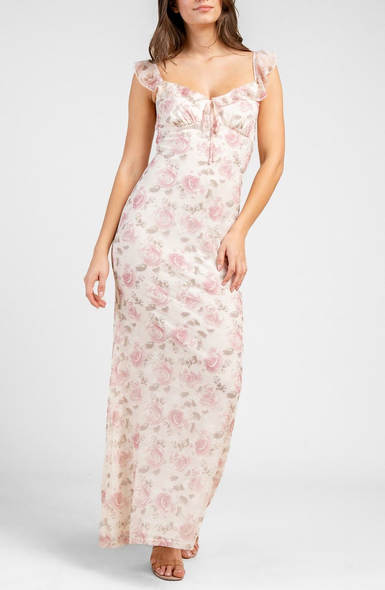 Beivy Printed Mesh Maxi Dress, Alternate, color, Pink