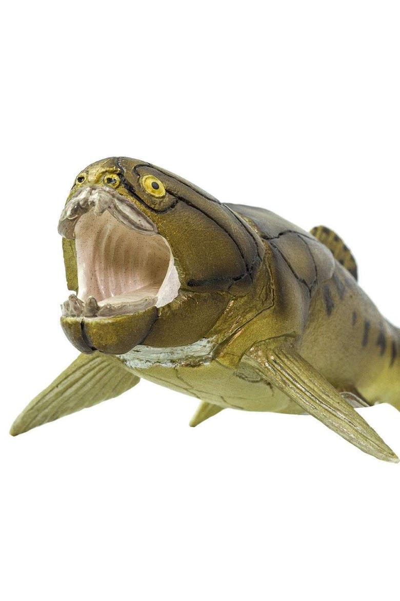 Dunkleosteus Toy, Alternate, color, No Color
