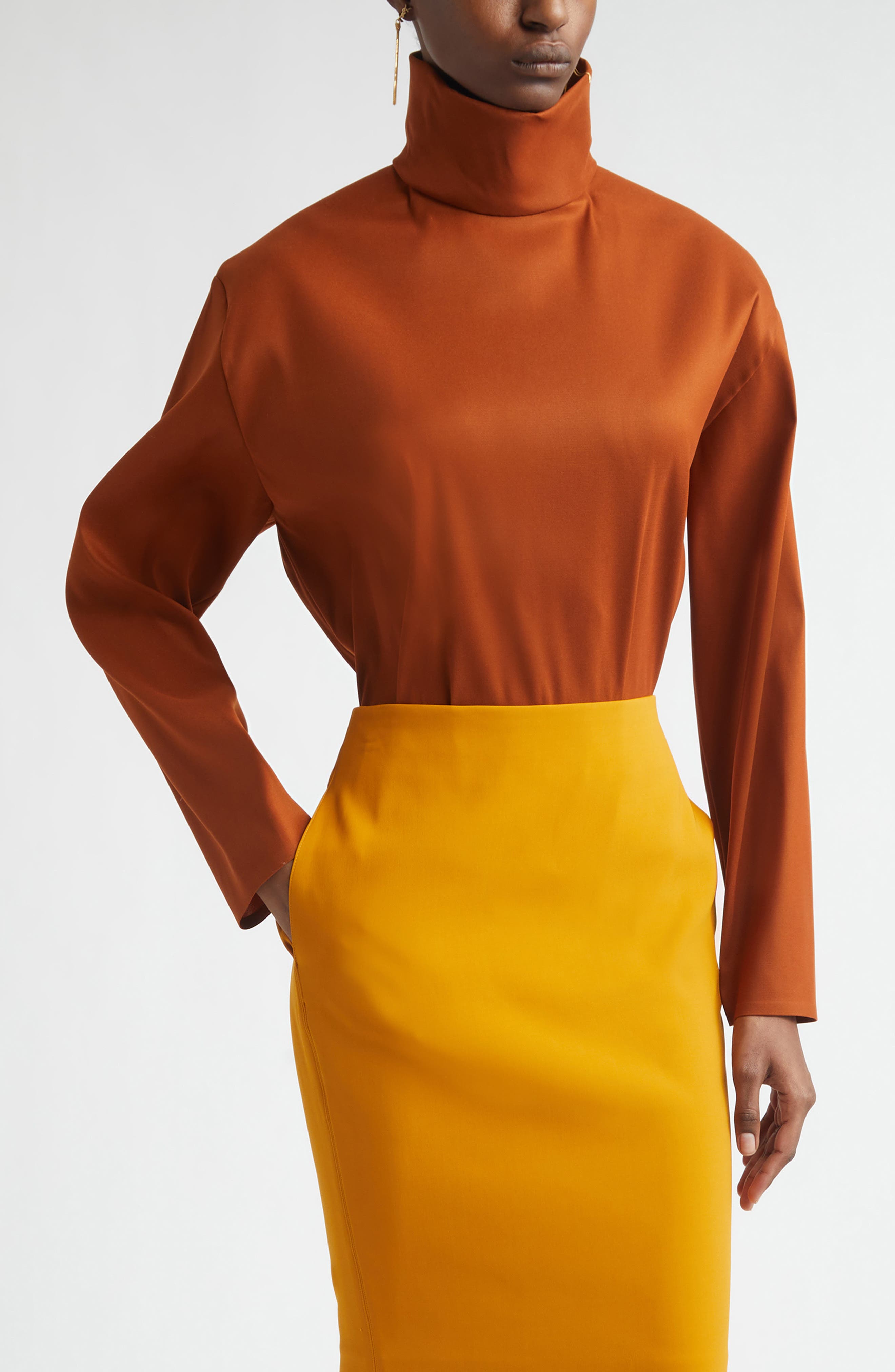 Turtleneck Silk Blend Organza Top