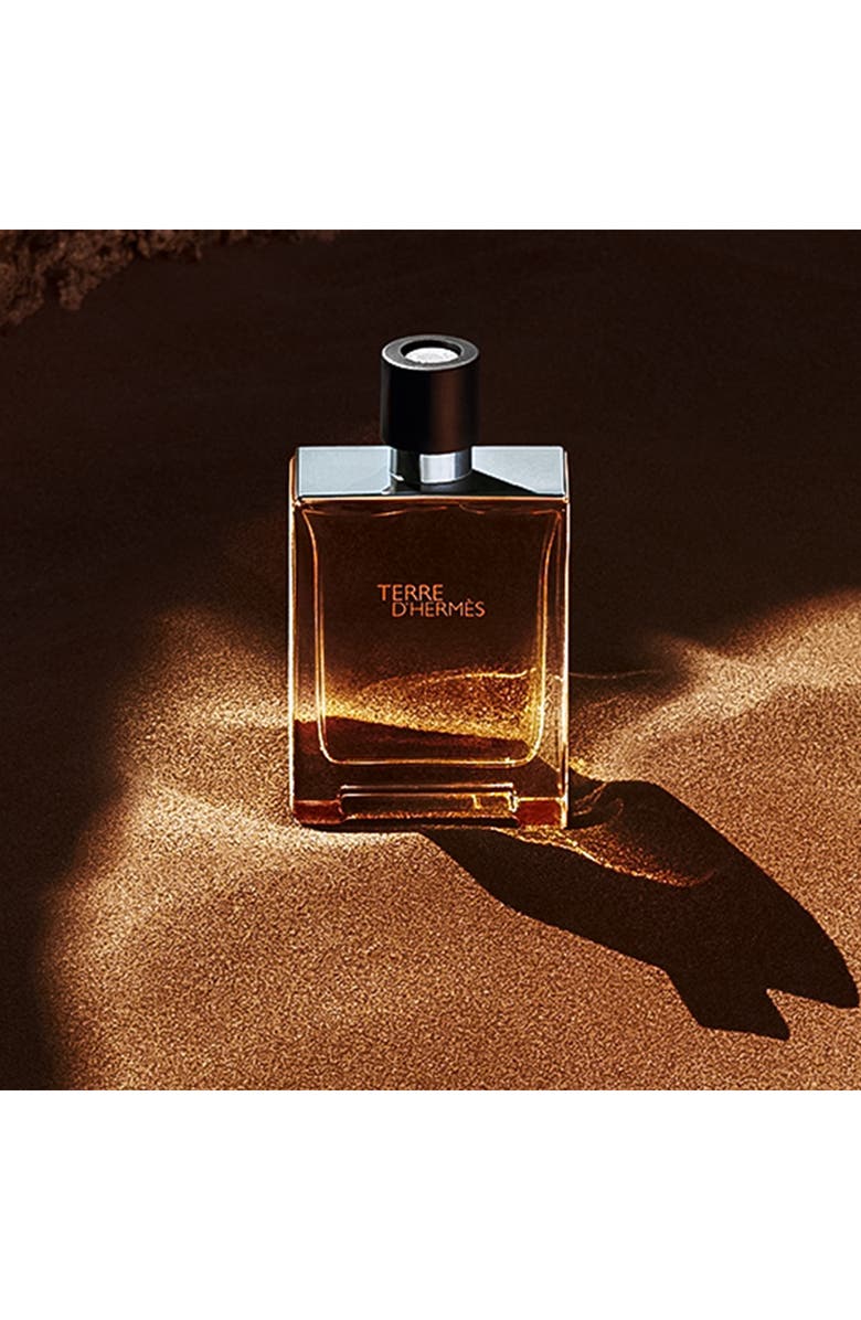 Hermès Terre d’Hermès - Eau de toilette, Alternate, color,